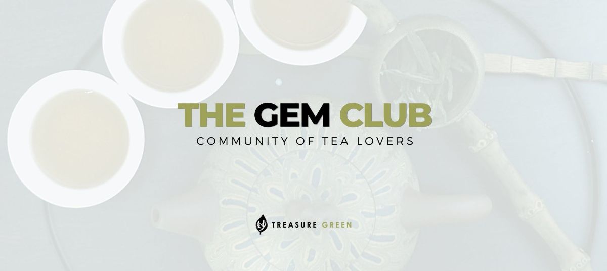 Introducing The Gem Club