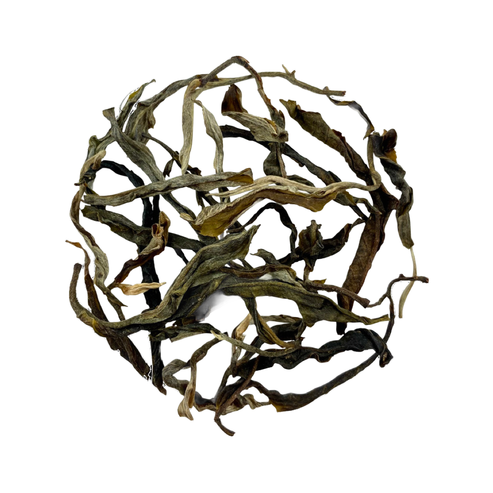 2018 Bing Dao Gu Shu Raw Pu-erh 冰島古樹生普