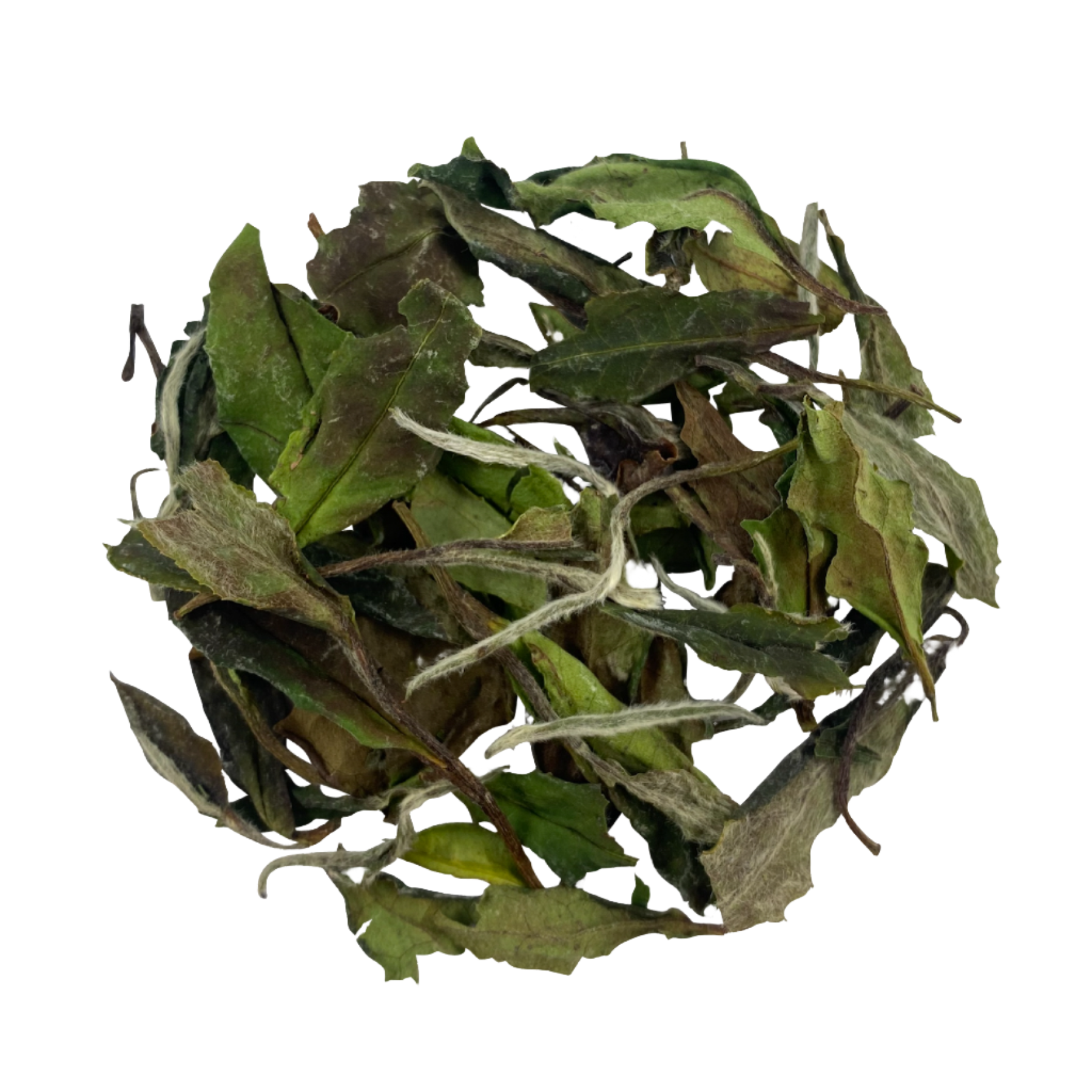 Bai Mu Dan White Tea 白牡丹
