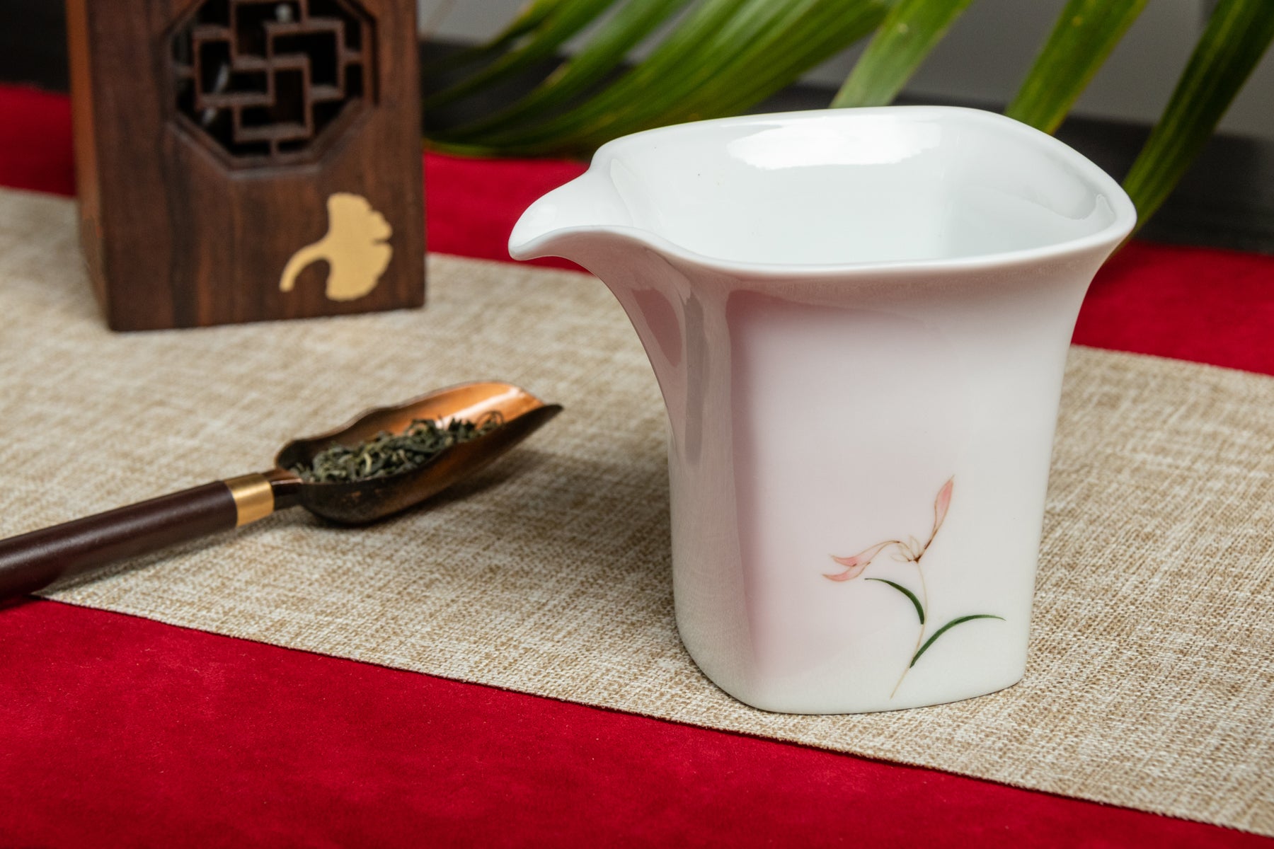 Orchid Faircup