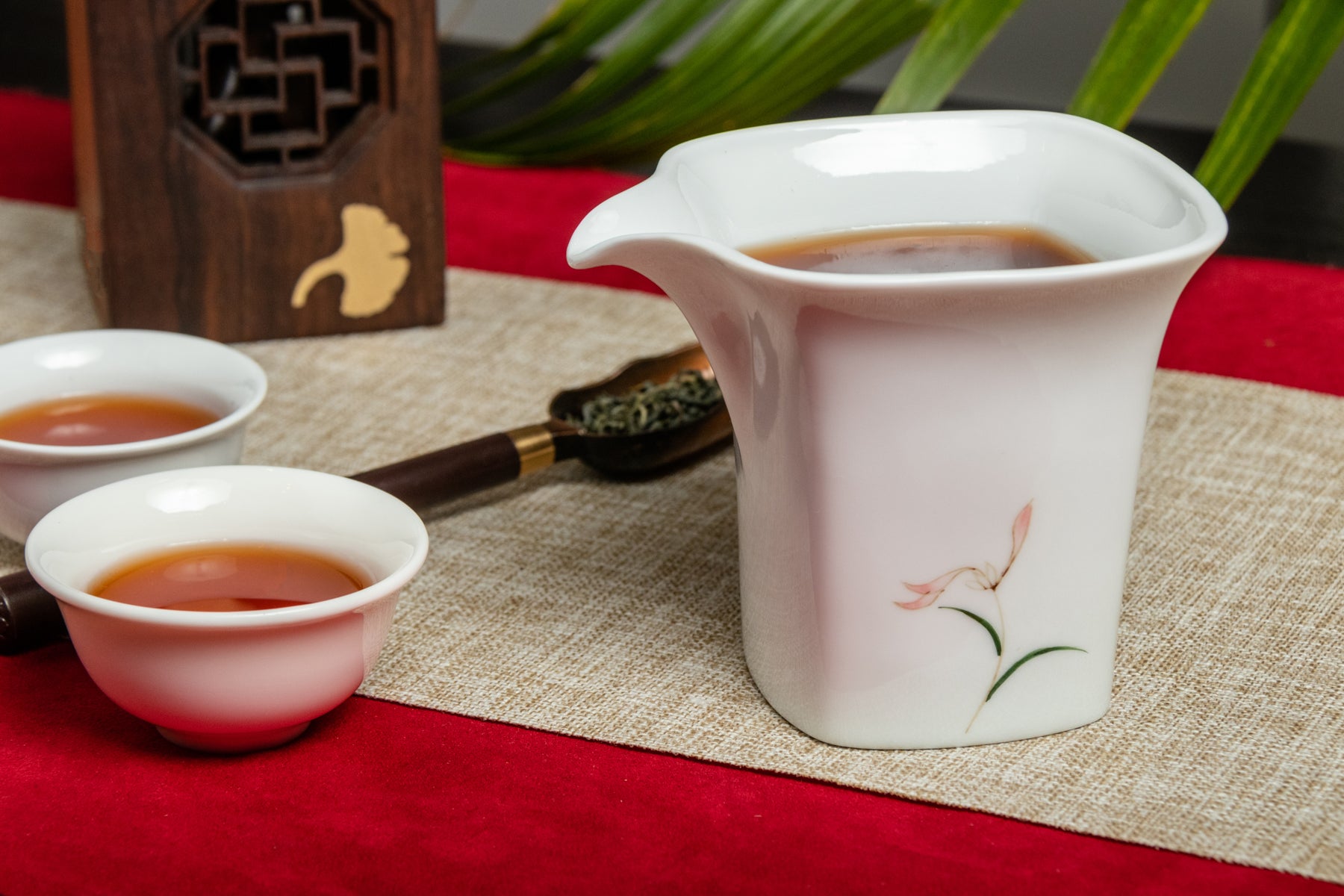 Orchid Faircup
