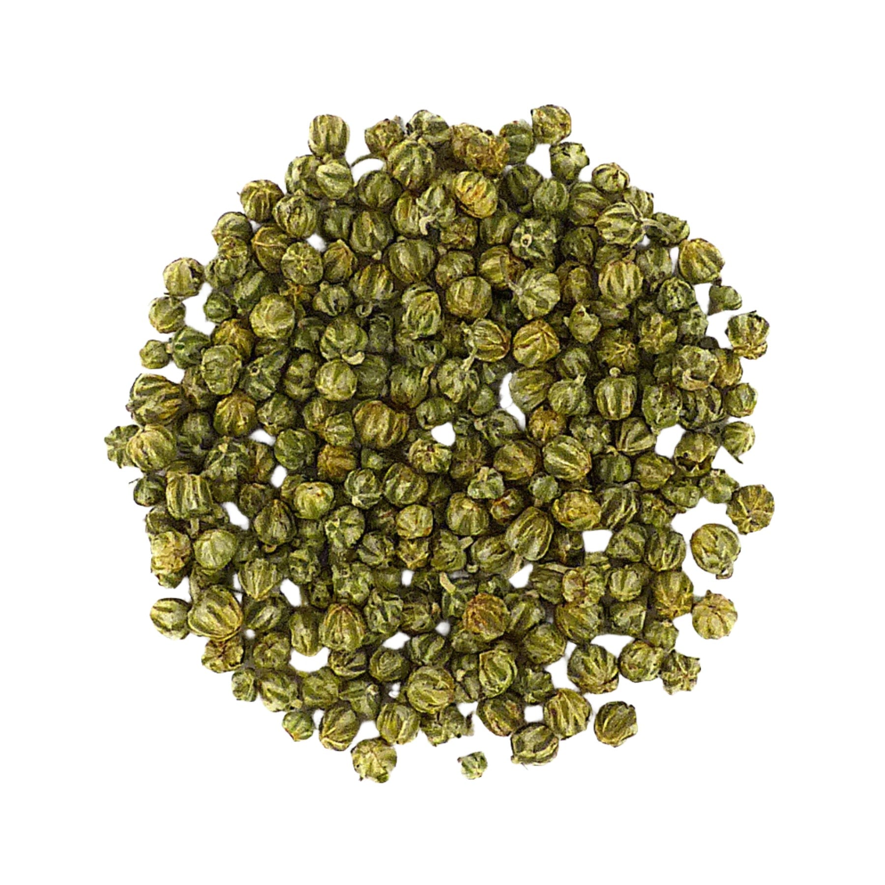 Wild Chrysanthemum 杭州 野菊
