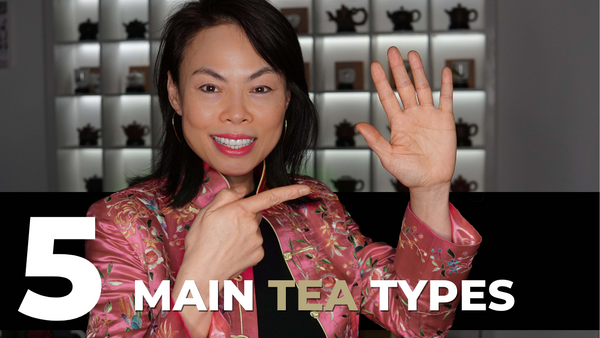 5 Tea Types You Need To Know
