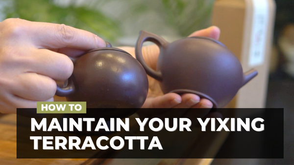 How To Maintain Your Yixing Terracotta Teapot