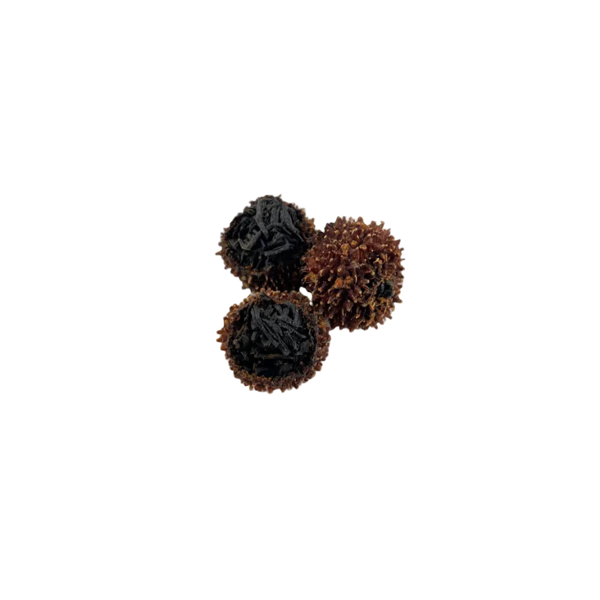 Cili Black Tea 刺梨紅茶