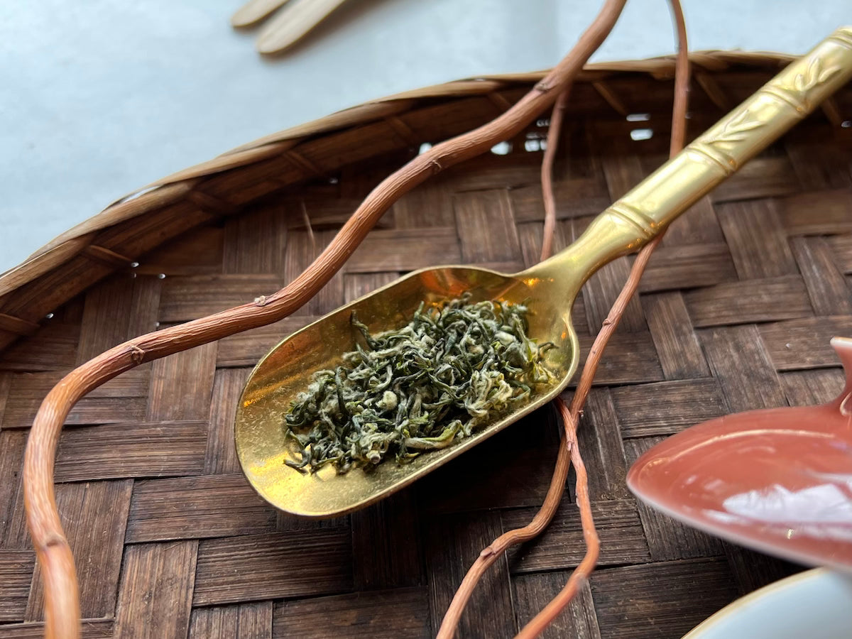 Bi Luo Chun Green Tea 江蘇 碧螺春