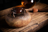Terracotta Magic Crab Tea Pet