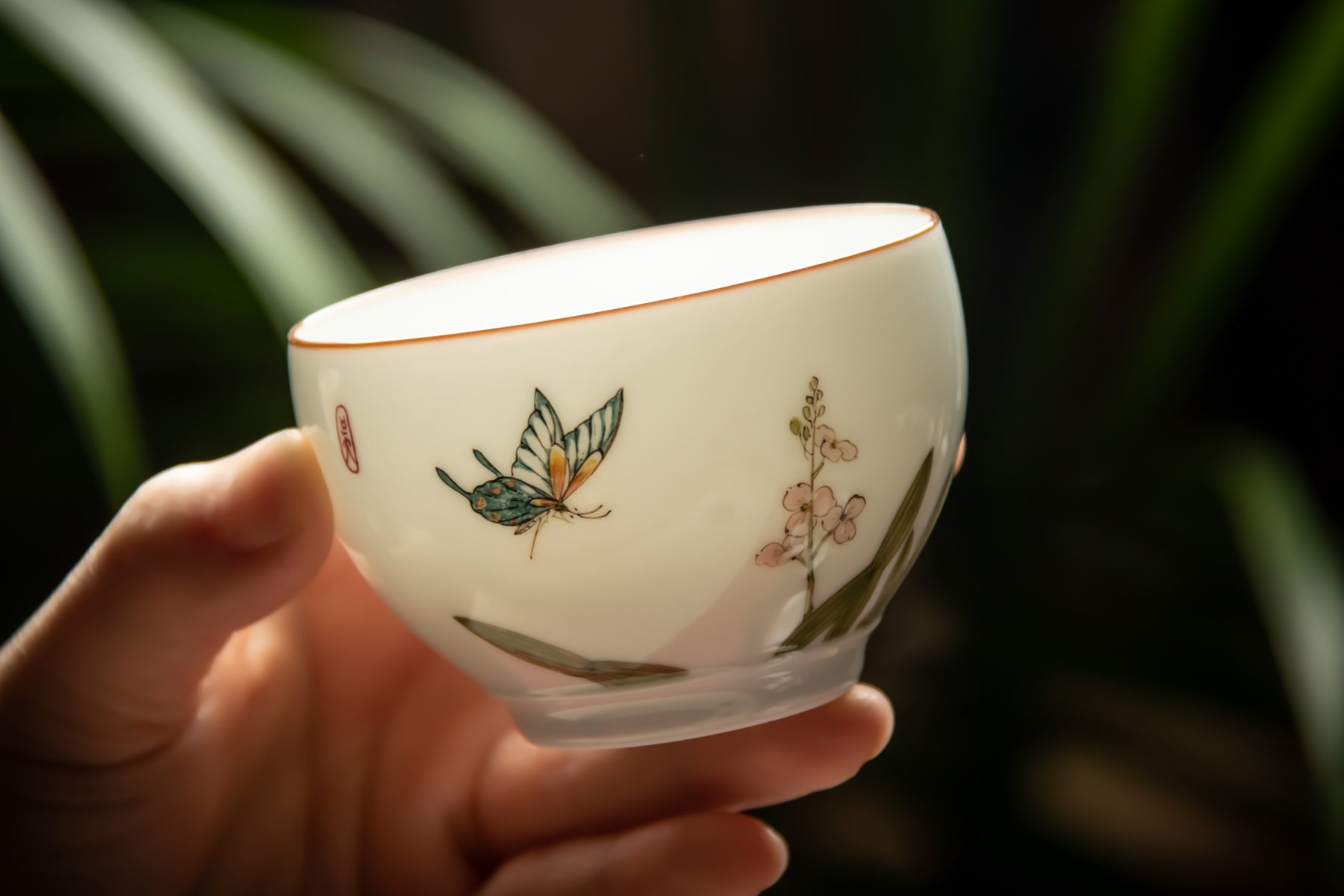 Butterfly Imperial Cup