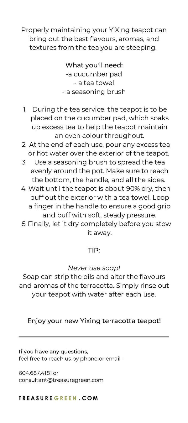 Terracotta Teapot Maintenance Kit